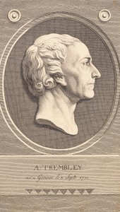 Reliefmedaillon mit Porträt des Zoologen Abraham Trembley