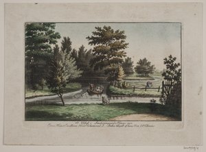Sanderumgaards Garten 8