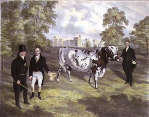 Sir Charles Morgan überreicht König Wilhelm IV. einen Shorthorn-Bullen auf Schloss Tredegar, Monmouth, graviert von M. Gauci