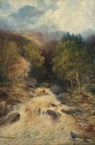 Ein Bergwald