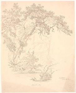 Bäume von J.P. Møller