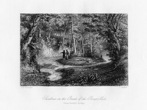 Schwalben an den Ufern des Flusses Mole, Surrey, 19. Jahrhundert von J. Archer
