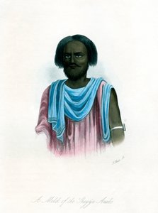 Ein Melik der Shegyia-Araber, um 1840 von J. Bull
