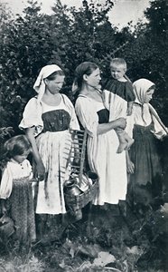 Bauernarten von Großrussland, 1912 von J. Daziaro