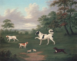 Jagdhunde in einer Landschaft