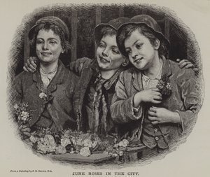 Junirosen in der Stadt von J. Gillis Brown