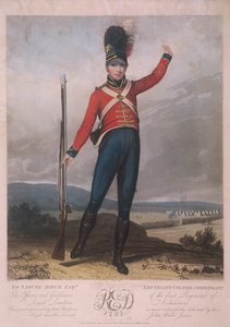 Militärfigur in der Uniform des ersten Regiments der Loyal London Volunteers von J Green