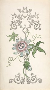 Entwurf für eine Paneeldekoration mit einer Passionsblume, 1828-40