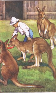 Australischer Junge, aus MacMillan Schulposter, ca. 1950-60er von J. Macfarlane