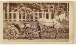 [Kleiner Wagen mit Pferd]