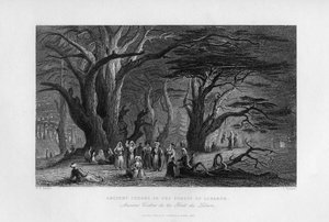 Alte Zedern im Wald des Libanon, 1841