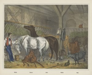 Stall von J. Scotti