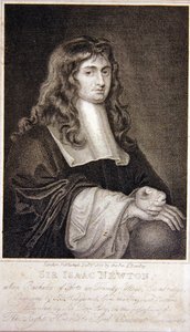 Sir Isaac Newton von J. T. Wedgewood