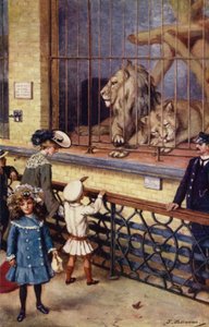 Im Löwenhaus im Zoo von J. Williamson