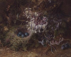 Vogelnest und Geißblatt von Jabez Bligh