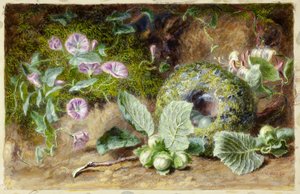 Winden und Nest