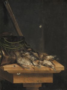 Tote Vögel
