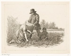 Kartoffelernter