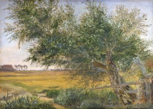 Der alte Baum, 1842 von Jacob Gensler