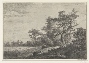 Das Kornfeld