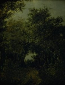 Straße in einem Eichenwald von Jacob van Ruisdael