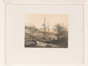 Waldlandschaft mit Fluss