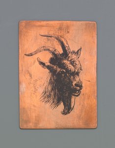 Kopf einer Ziege von Jacob Maris