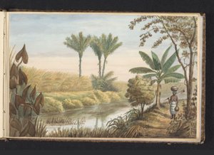 Ansicht eines Feldes mit Zuckerrohrplantage Visserszorg von Jacob Marius Adriaan Martini van Geffen