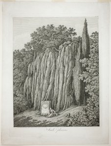 Trauerweide von Jacob Philipp Hackert