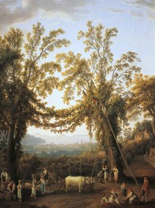 Herbst, Ernte bei Sorrent von Jacob Philippe Hackert