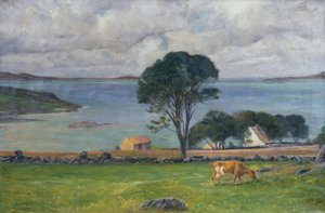 Kühe in der Landschaft