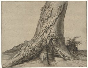 Studie eines Baumstamms mit Wurzeln
