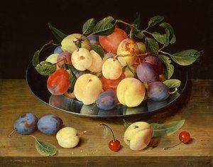 Pflaumen und Pfirsiche auf einem Zinnteller von Jacob van Hulsdonck