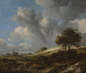Ein Kornfeld mit dem Zuiderzee im Hintergrund, ca. 1660
