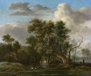 Ein Waldteich von Jacob van Ruisdael