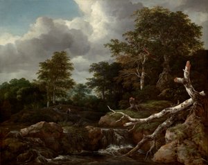Waldszene von Jacob van Ruisdael