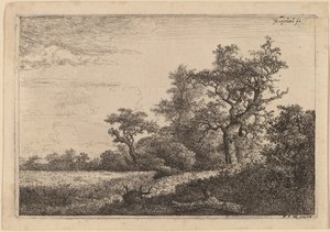 Getreidefeld am Waldrand (Kornfeld) von Jacob van Ruisdael