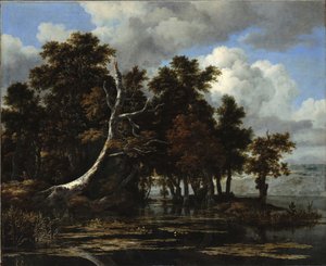 Eichen an einem See mit Seerosen von Jacob van Ruisdael