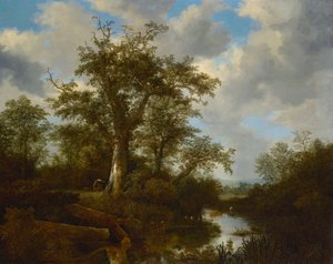 Bewaldete Landschaft mit Vieh, das einen Bach überquert von Jacob van Ruisdael