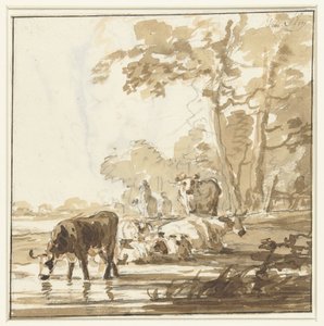 Ruhendes Vieh an einem Waldrand bei einem Teich