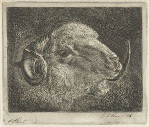 Kopf eines Widders mit nach hinten gedrehten Hörnern von Jacobus Cornelis Gaal (signed by artist)