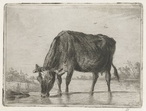 Trinkende Kuh von Jacobus Cornelis Gaal