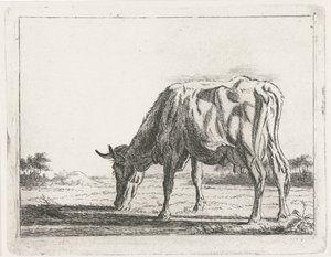 Weidende Kuh von Jacobus Cornelis Gaal