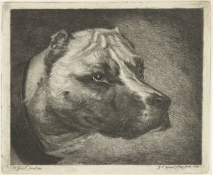 Hundekopf mit Halsband von Jacobus Cornelis Gaal