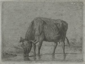 Kuh, die aus einer Pfütze trinkt von Jacobus Cornelis Gaal