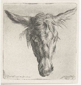 Kopf eines Esels von Jacobus Cornelis Gaal
