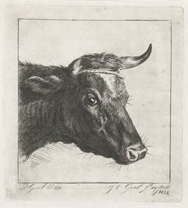 Kopf einer Kuh mit Seil um die Hörner von Jacobus Cornelis Gaal