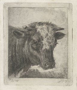 Kopf einer Kuh mit weißem Fleck von Jacobus Cornelis Gaal