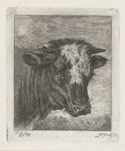 Kopf einer Kuh mit weißer Stirn von Jacobus Cornelis Gaal