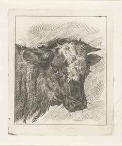 Kopf einer Kuh mit weißer Stirn von Jacobus Cornelis Gaal
